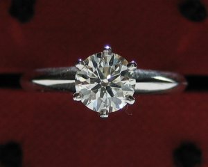 IMG_0095.jpg