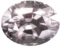 b_spbl46005.jpg