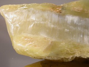 Yellowish.JPG