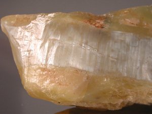 Silvery.JPG