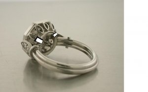 e-ring%20Image%203.jpg