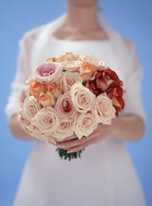 multi color roses.jpg