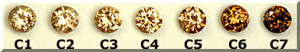 C1-C7Champagne-1.gif