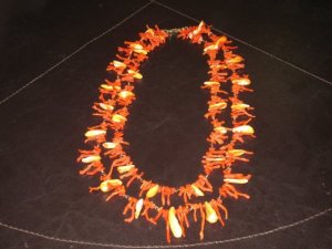 coralspiny1.jpg