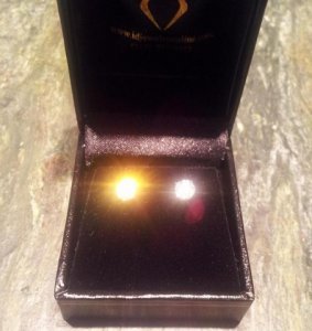 new_studs_017.jpg