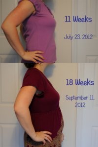 11-18weeks-2.jpg 11-18weeks-2.jpg