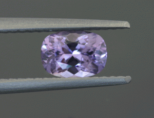 feb11ccspineli.gif