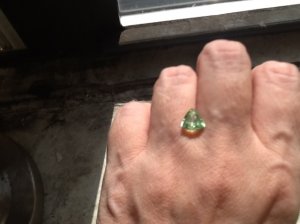 merelani_handshot.jpg