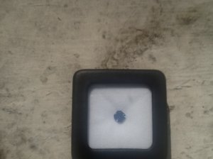 _1032.jpg