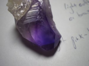 _1060.jpg
