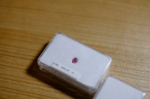 dscf5711.jpg