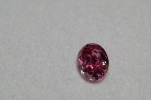 dscf5782.jpg