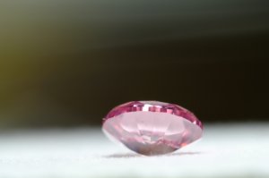 dscf5729.jpg