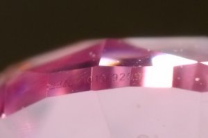 dscf5730.jpg