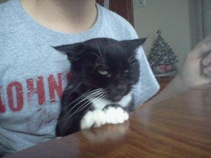 cathys_phone_2012_038.jpg