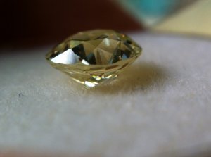 img_0931.jpg