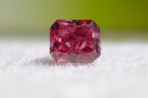 dscf5891.jpg