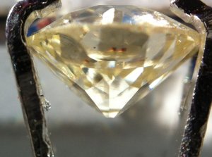 img_1055.jpg