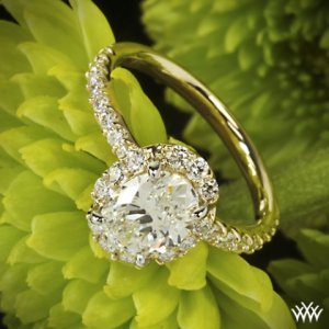 custom-yellow-gold-oval-diamond-enagement-ring-by-whiteflash-33372_3.jpg