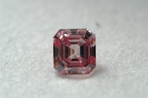 dscf6117.jpg