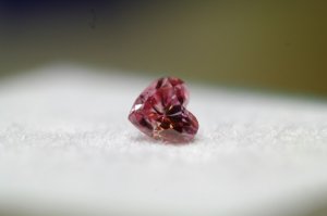 dscf6473.jpg