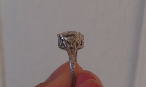 imag0655.jpg