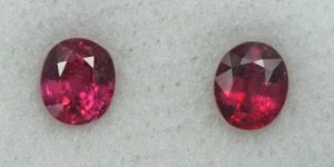 possible_pair_2.jpg