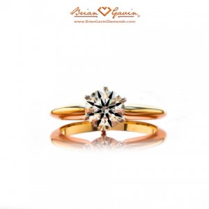 7124_briangavin_yg6prong3_080212.jpg