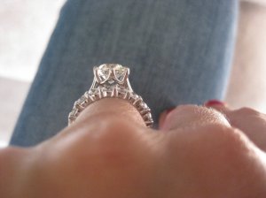 img_0533.jpg