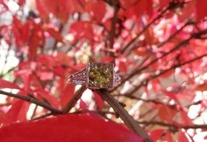 leaf.jpg