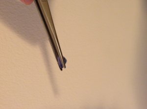 image_3_.jpeg