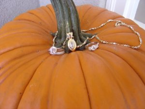 pumpkin.jpg