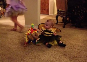 sleepy_bee_and_clown.jpg sleepy_bee_and_clown.jpg