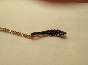 featherneck3.jpg featherneck3.jpg