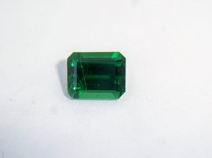 tsav_001.jpg
