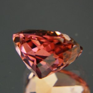 pto339-bs.jpg