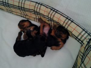 2012-10-26_14.jpg