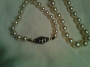img00219-20121029-1908.jpg