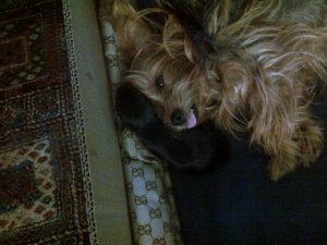 img-20121013-00604.jpg