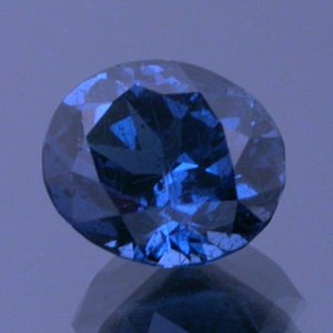 blueg1.jpg