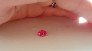 img_20121104_094914.jpg