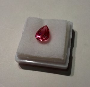 img_20121102_125615.jpg