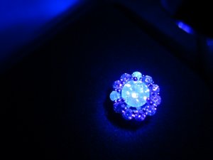 img_2649.jpg