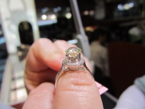 img_2516.jpg