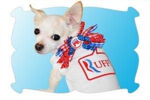politicalpetsromneytalkbubble.jpg