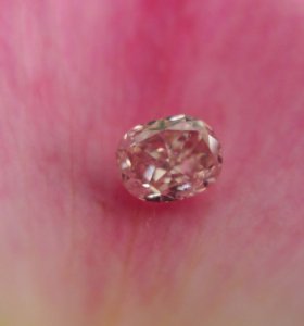 pink_diamond_peatal_2.jpg