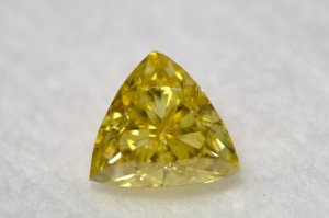 dscf7957.jpg