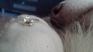 engagement_063.jpg