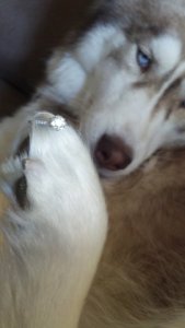 engagement_065.jpg