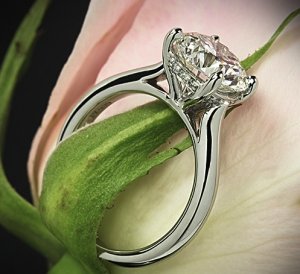 vatche-platinum-caroline-solitaire-engagement-ring-for-whiteflash-33703_g.jpg vatche-platinum-caroline-solitaire-engagement-ring-for-whiteflash-33703_g.jpg